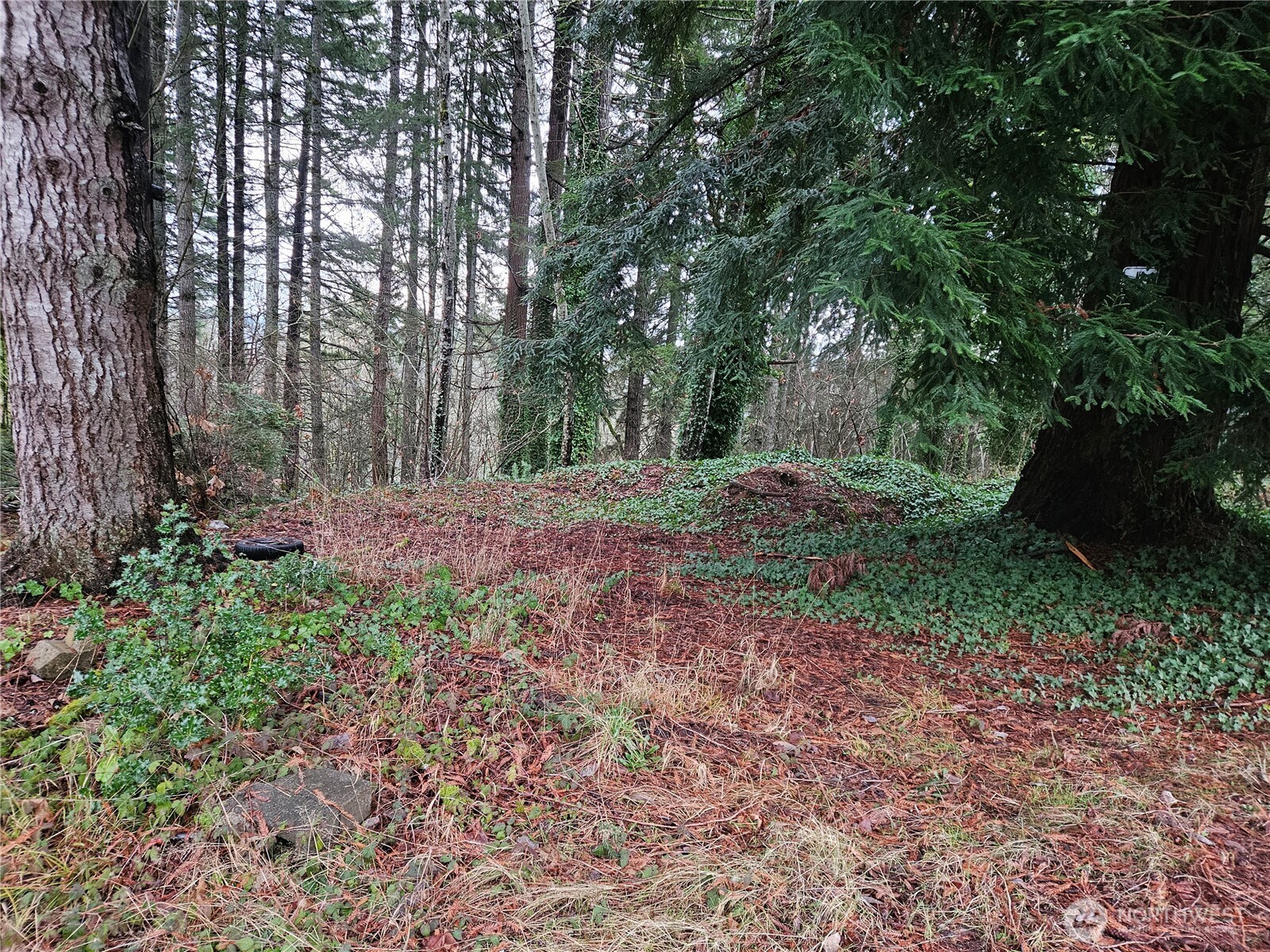 323 NE Barbara Boulevard