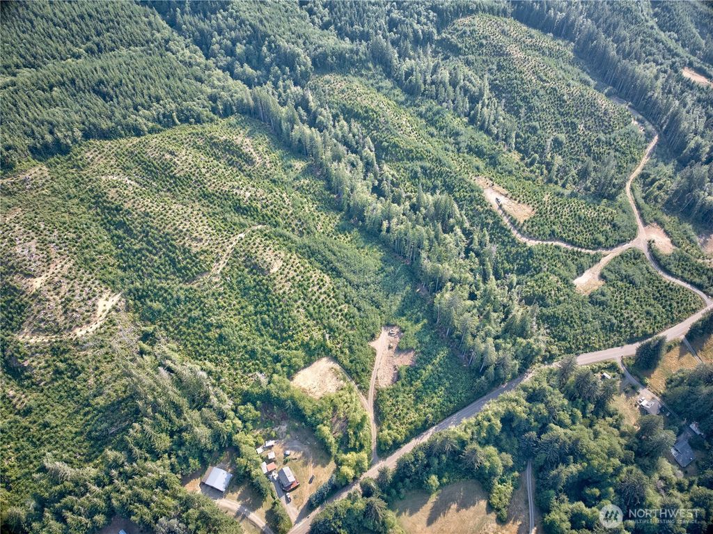 Photo of 0 Tract 4 South Valley Rd, Naselle, WA 98638 (MLS # 2514033)