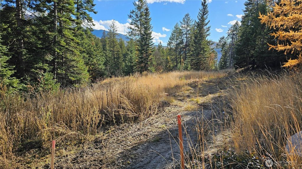 Photo of 717 B Finley Gulch Road, Colville, WA 99114 (MLS # 2455699)