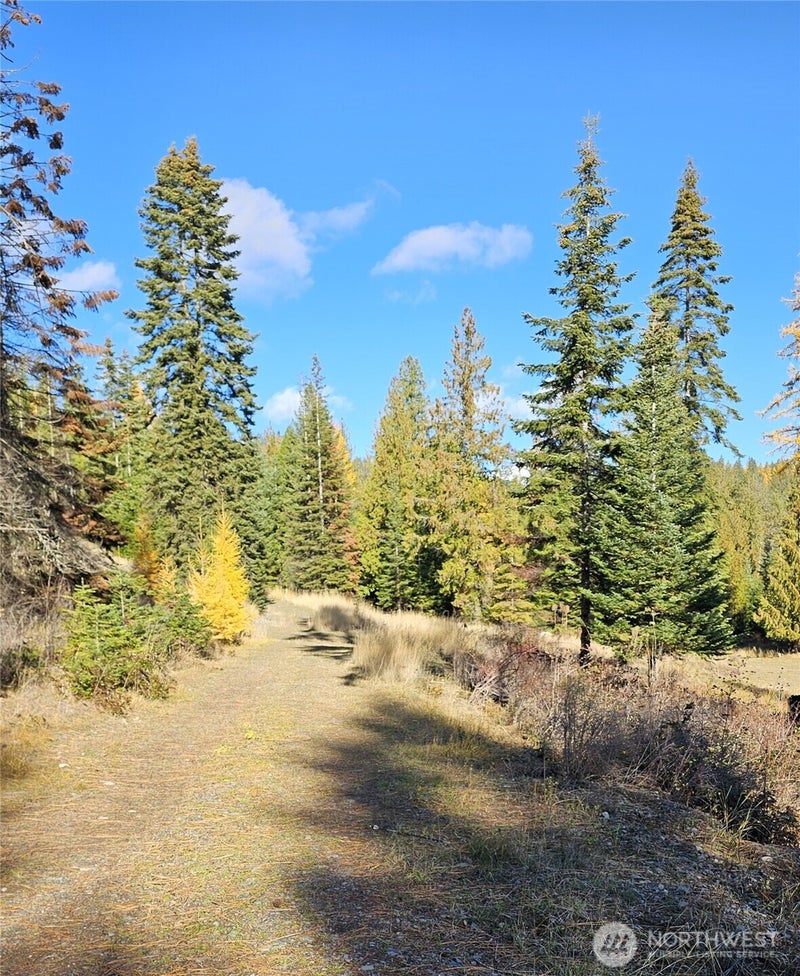 717 Finley Gulch Road