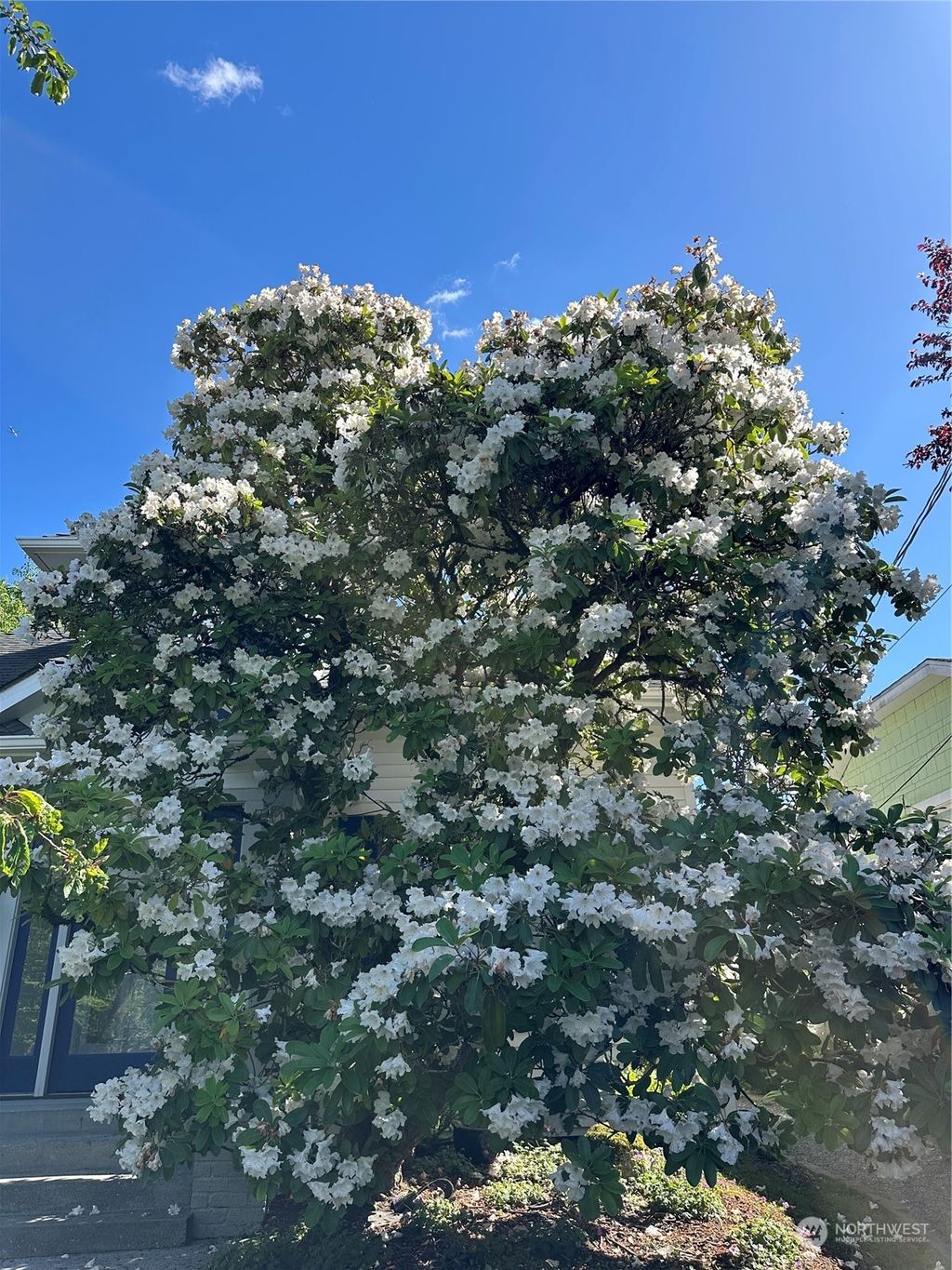 Photo of 109 NE 58th Street, Seattle, WA 98015 (MLS # 2236513)