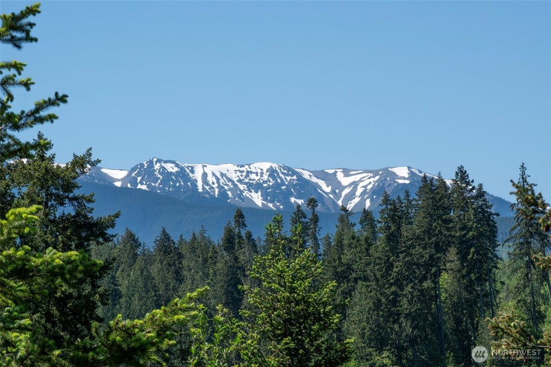 9999 Blue Mountain Road
