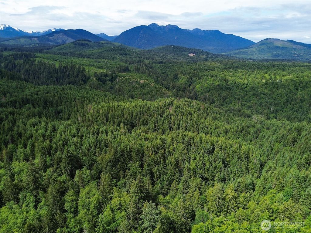 Photo of 9999 Blue Mountain Road, Port Angeles, WA 98362 (MLS # 2518922)