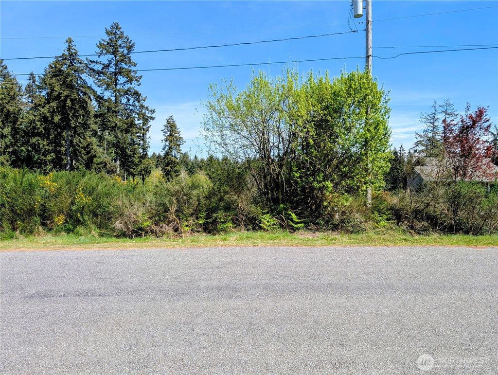 Photo of 2501 195th Avenue SW, Lakebay, WA 98349 (MLS # 2508047)