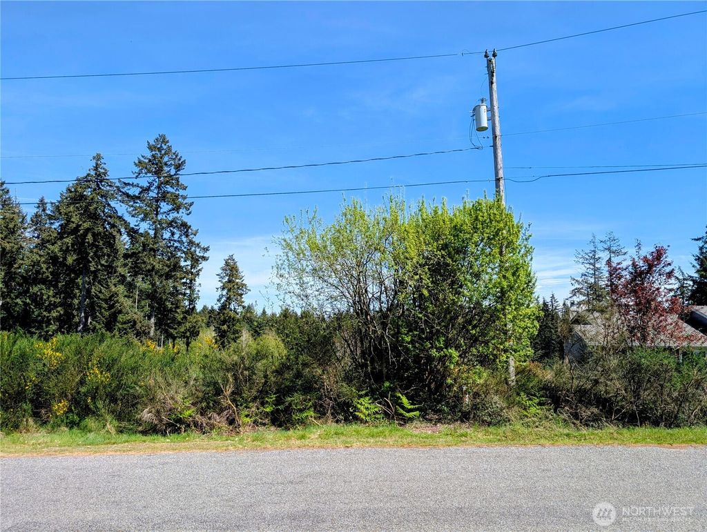 Photo of 2501 195th Avenue SW, Lakebay, WA 98349 (MLS # 2508047)
