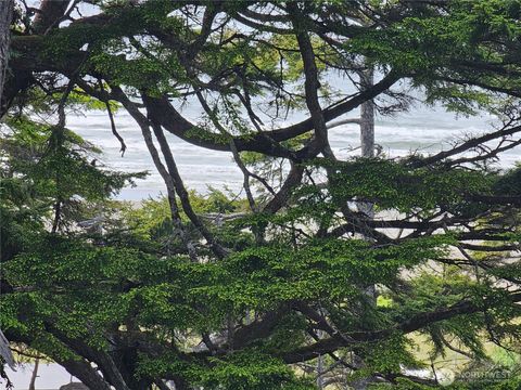 4128 St Route 109 Pacific Beach WA 98571