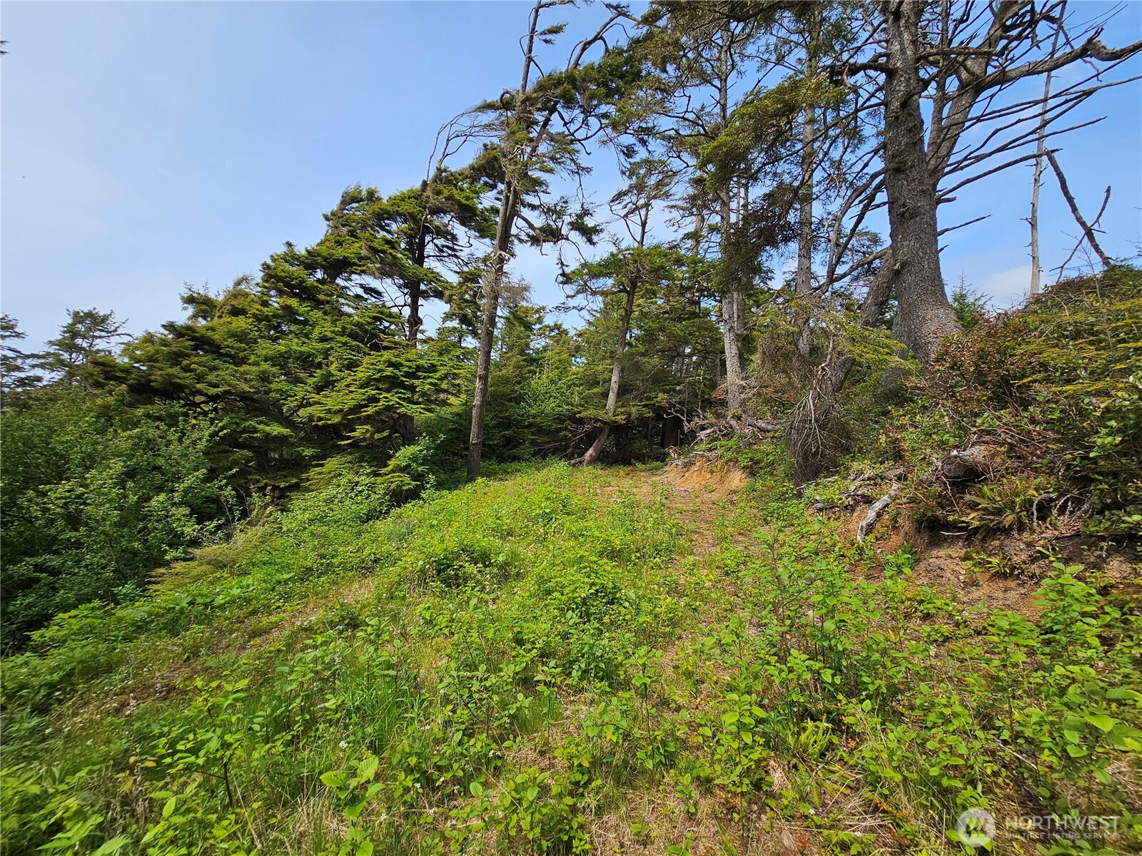 4128 St Route 109