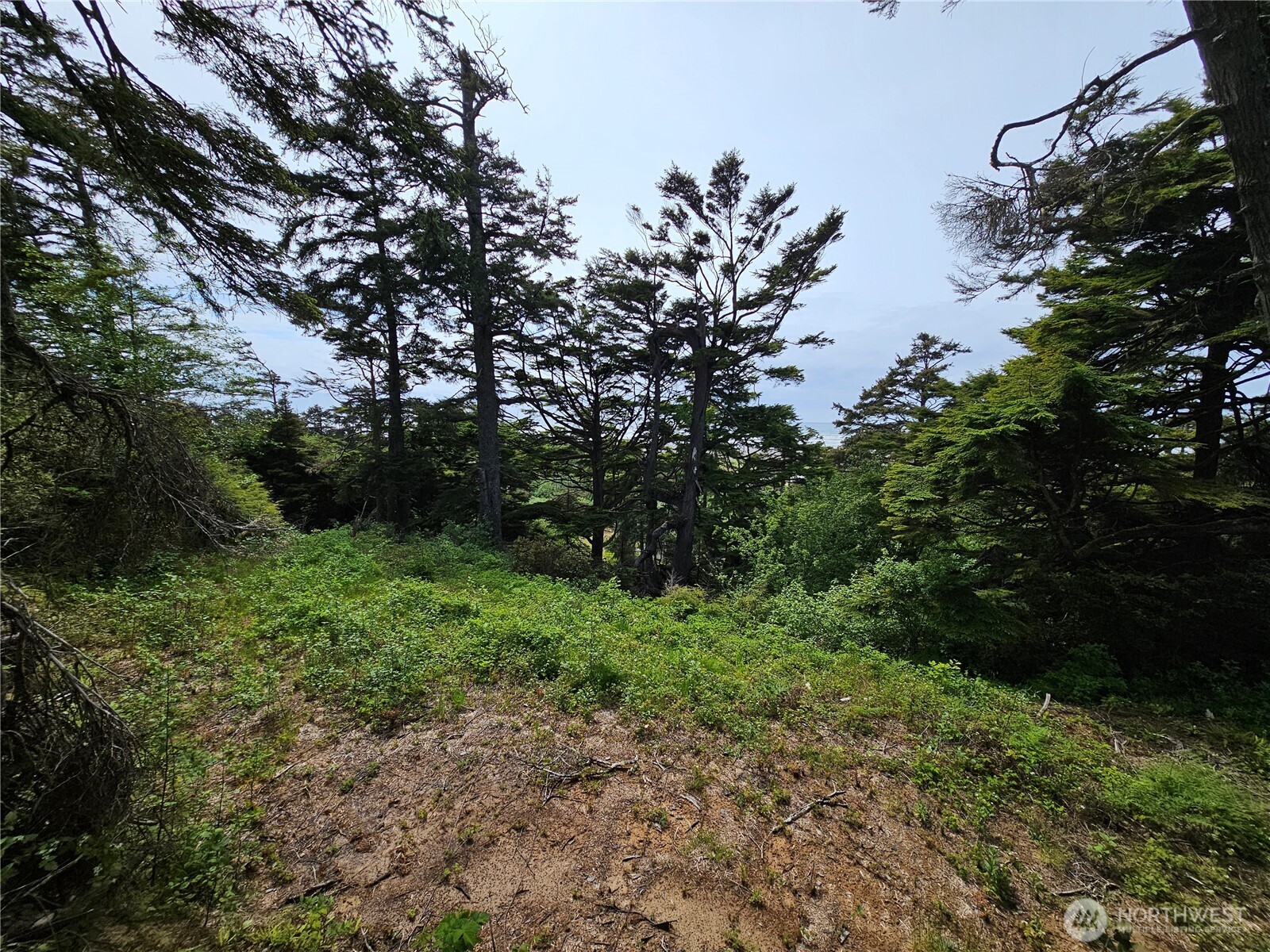 4128 St Route 109