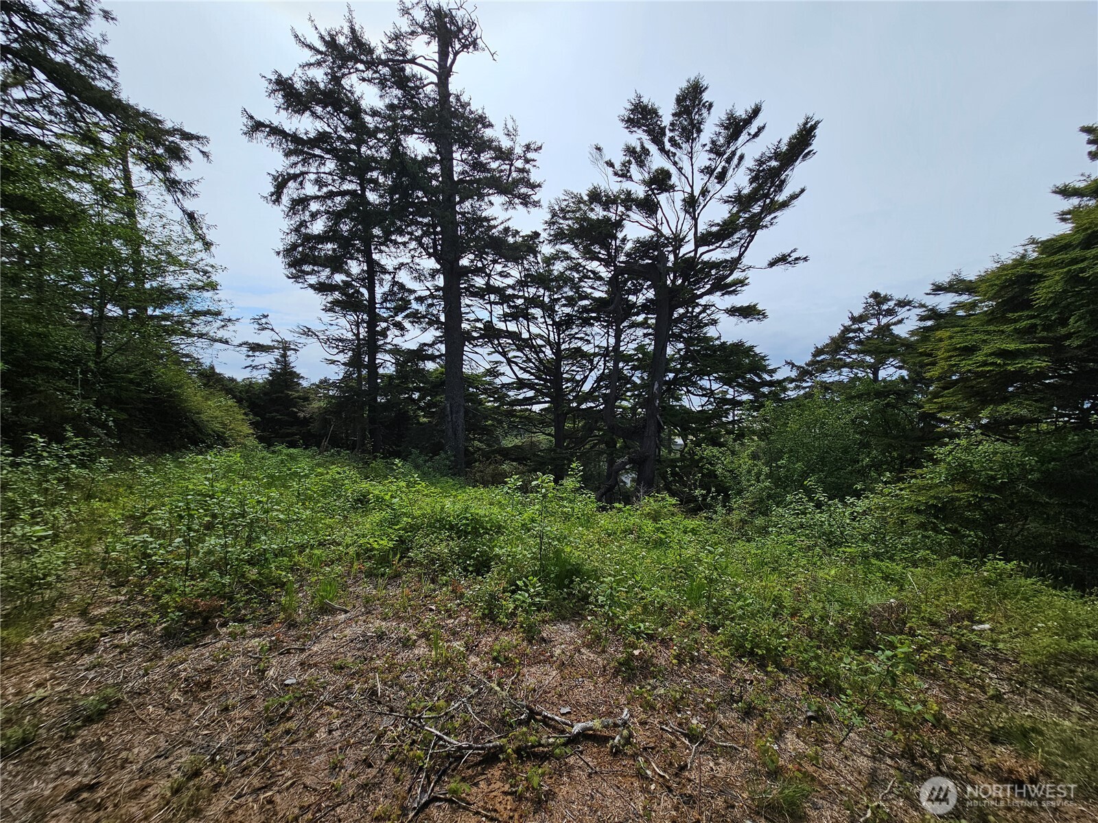 4128 St Route 109
