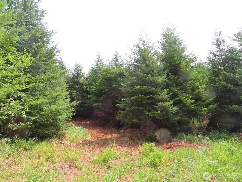 Photo of 0 Lot B Mill Creek Lane, Longview, WA 98632 (MLS # 2448768)