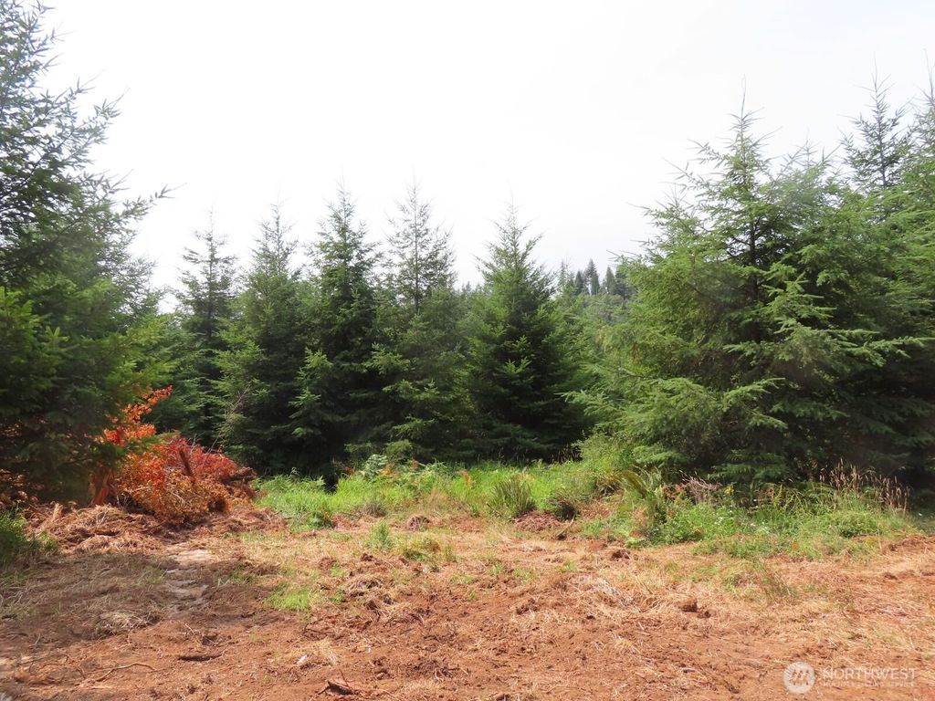Photo of 0 Lot B Mill Creek Lane, Longview, WA 98632 (MLS # 2448768)