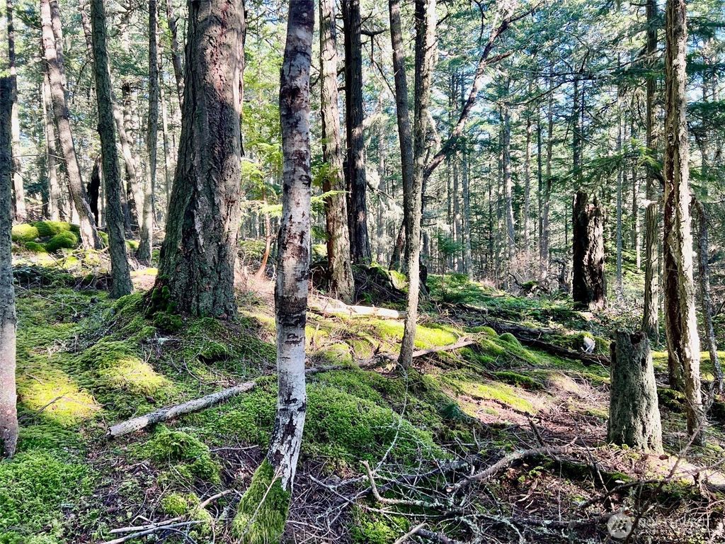 Photo of 0 Highland Drive, Decatur Island, WA 98221 (MLS # 2483169)