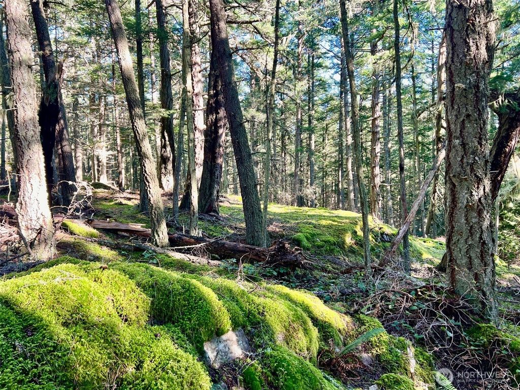 Photo of 0 Highland Drive, Decatur Island, WA 98221 (MLS # 2483169)