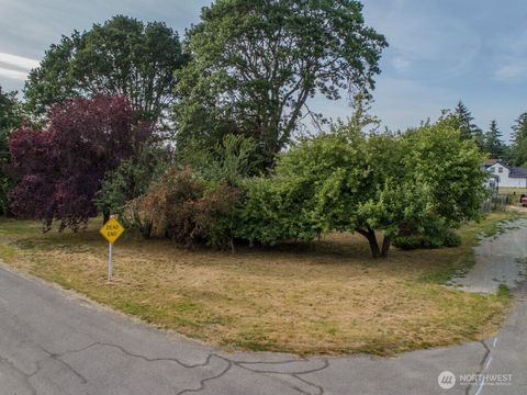 Photo of 312 2nd Street W, Roy, WA 98580 (MLS # 2392547)