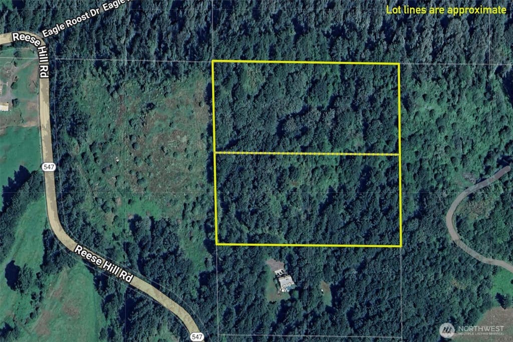 Photo of 48 XX Reese Hill Road, Sumas, WA 98295 (MLS # 2564371)