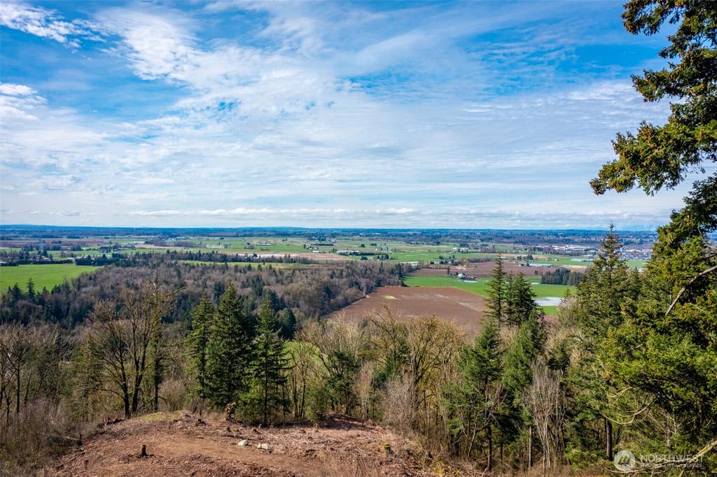 Photo of 48 XX Reese Hill Road, Sumas, WA 98295 (MLS # 2564371)