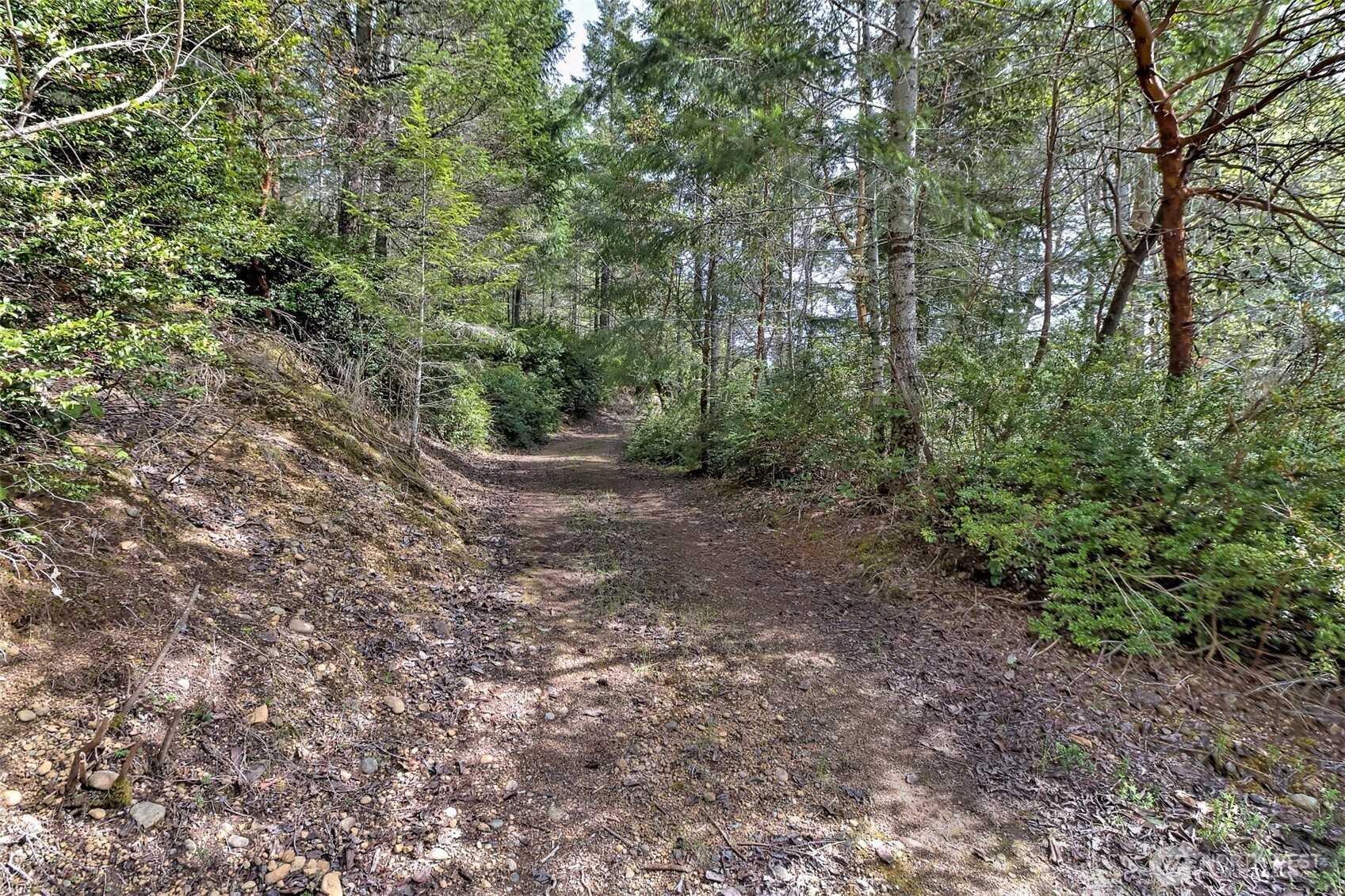 100 E Skyview Drive