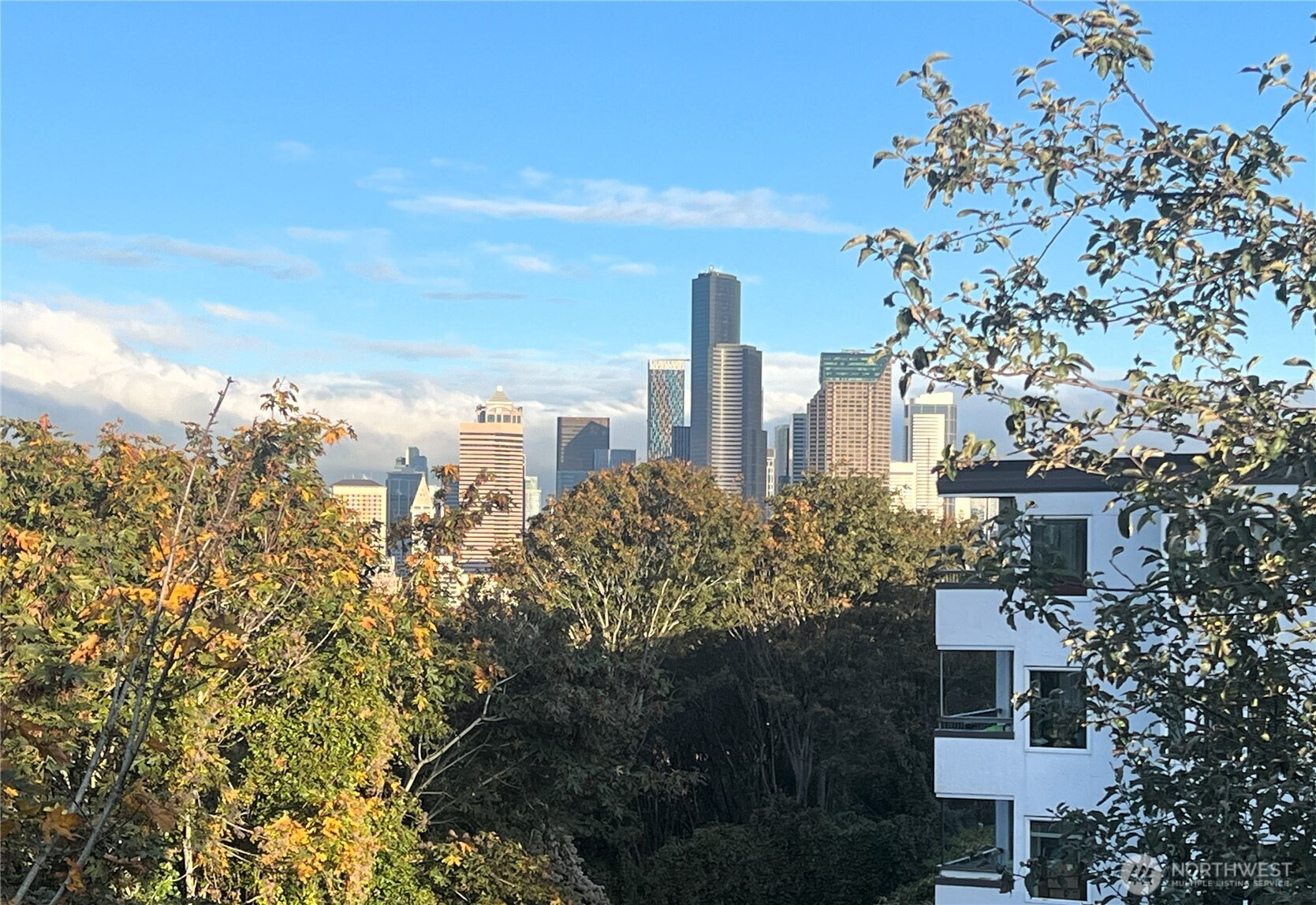 1604 11th Avenue S 402