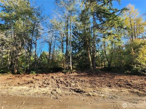 Photo of 11 X W Hamma Hamma Drive, Elma, WA 98541 (MLS # 2593863)