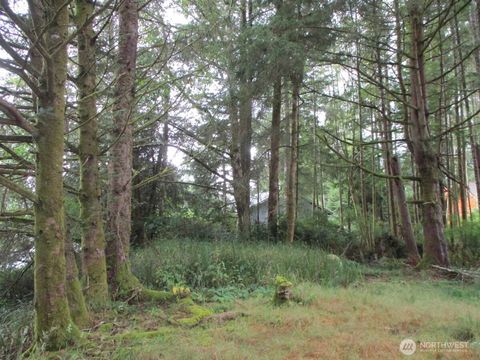 111 Olympic View Avenue NE Ocean Shores WA 98569