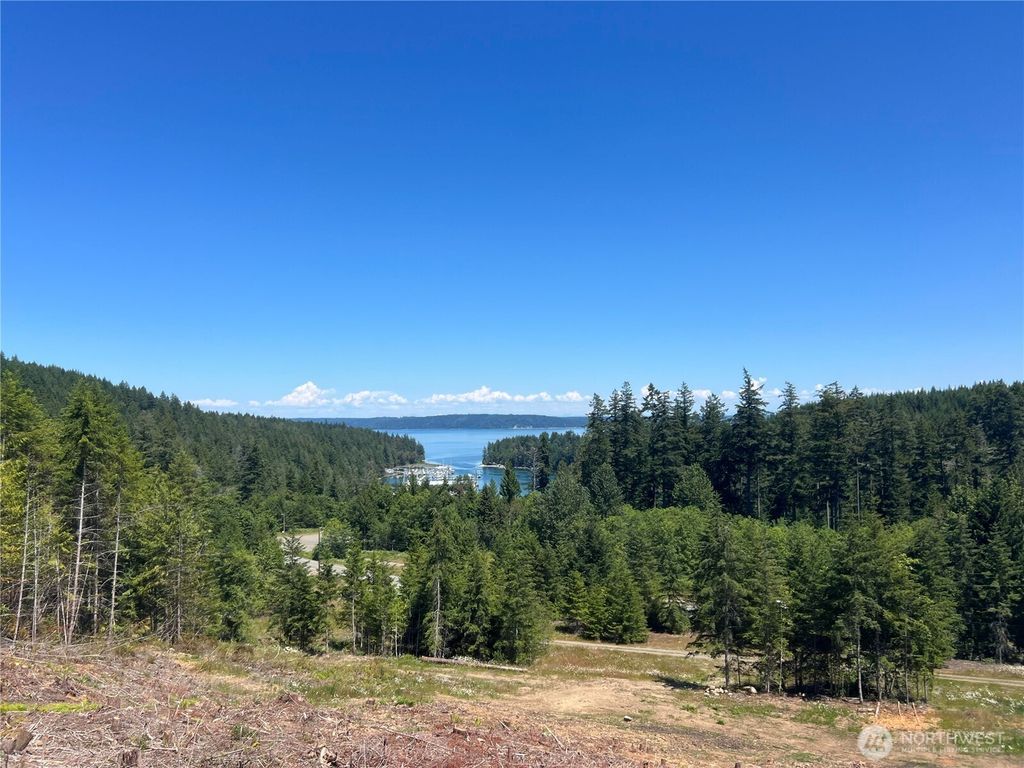 Photo of 3 XXXX Mt Jupiter Road, Brinnon, WA 98320 (MLS # 2490583)