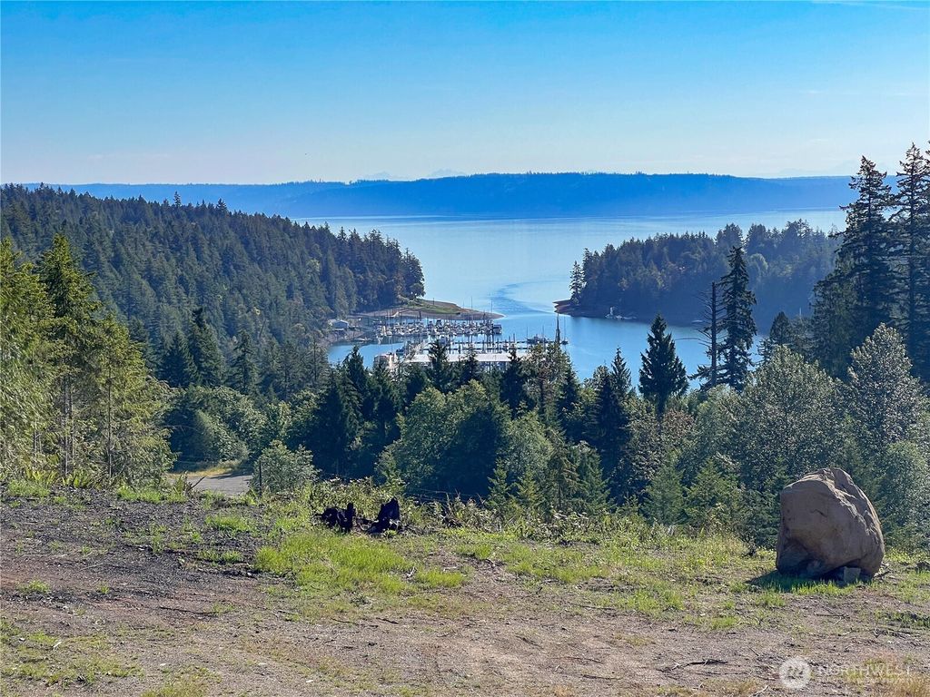 Photo of 3 XXXX Mt Jupiter Road, Brinnon, WA 98320 (MLS # 2490583)