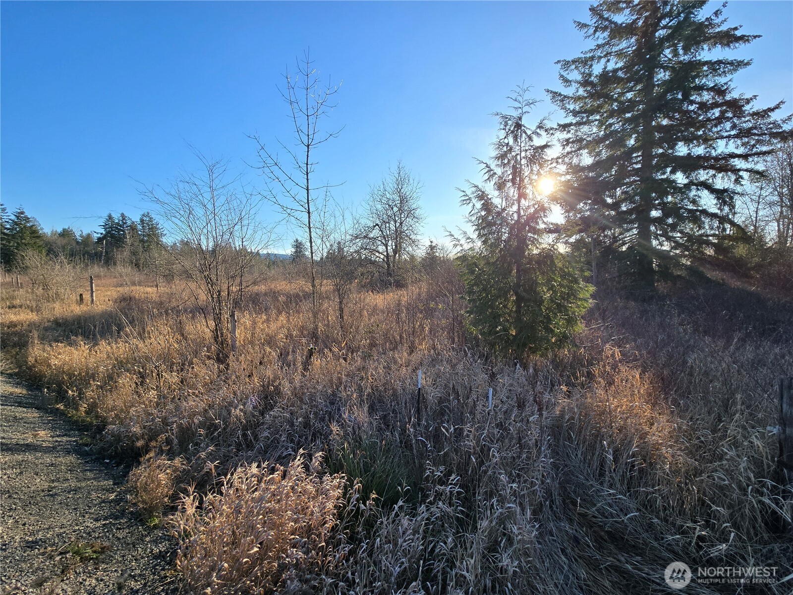 40310 Eatonville Cutoff Road