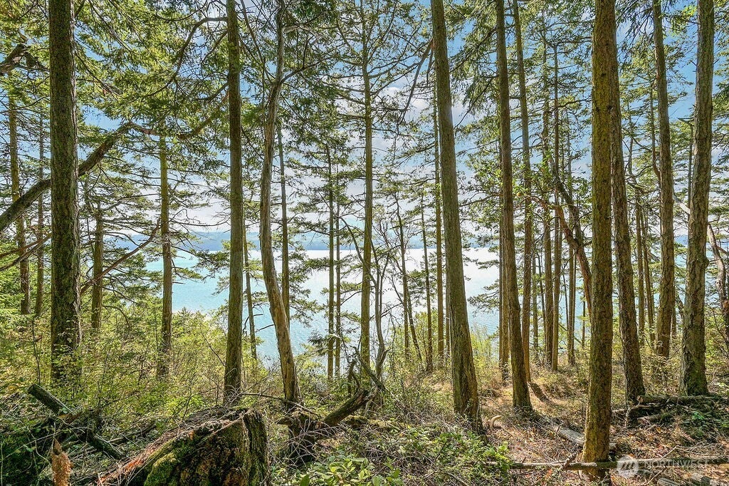 Photo of 6982 Cape George Rd RD, Port Townsend, WA 98368 (MLS # 2573213)