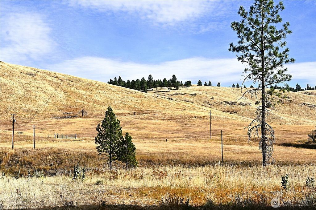 Photo of 81 Rose Valley RD Rd, Republic, WA 99166 (MLS # 2491559)