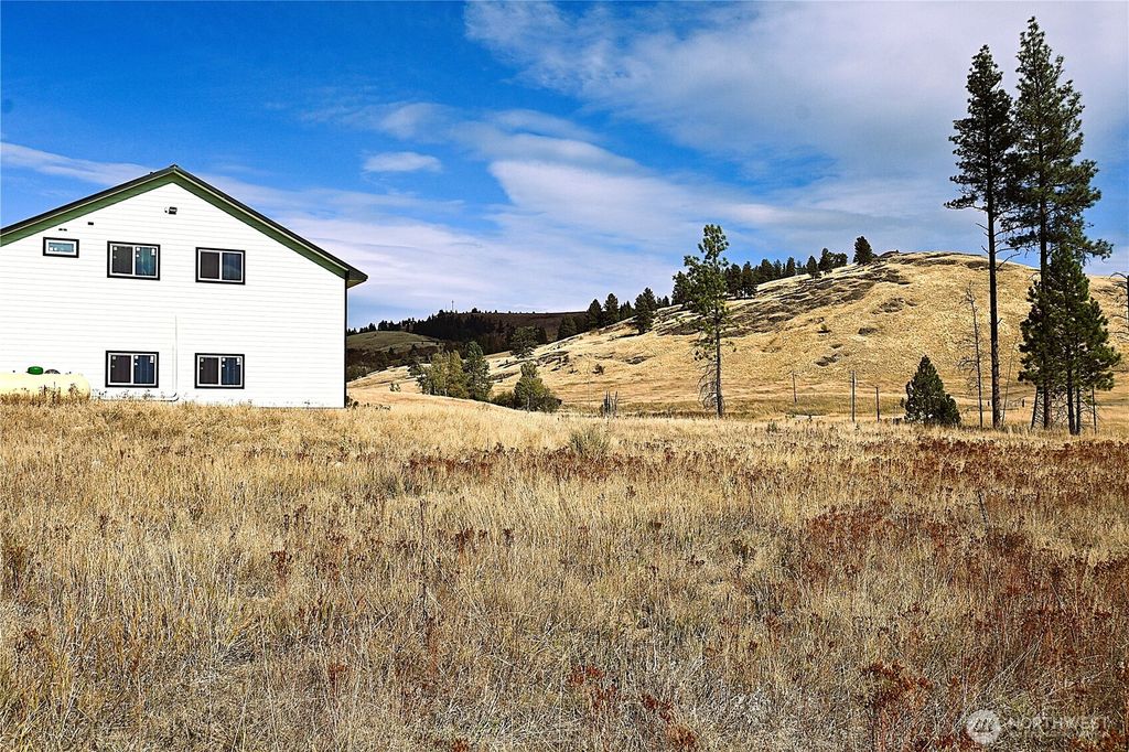Photo of 81 Rose Valley RD Rd, Republic, WA 99166 (MLS # 2491559)