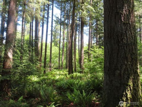 Photo of 5033 Polehn Road SW, Rochester, WA 98579 (MLS # 2380821)