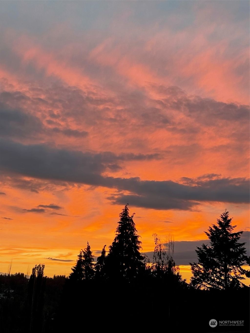 Photo of 1001 15th Avenue, Milton, WA 98354 (MLS # 2131995)