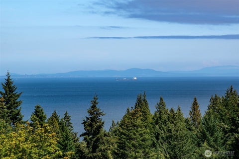 Photo of 1668 Freshwater Bay Road, Port Angeles, WA 98363 (MLS # 2568135)
