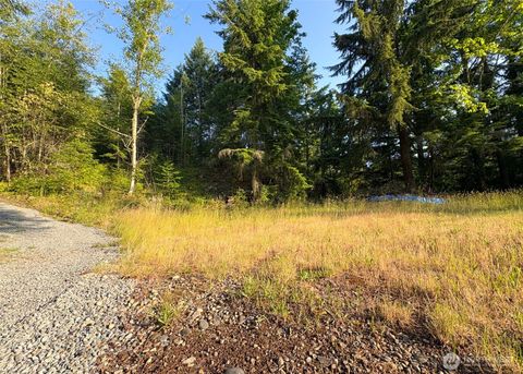 19620 199th Street E Orting WA 98360