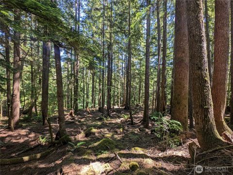 Photo of 999 Kallman Road, Forks, WA 98331 (MLS # 2413106)