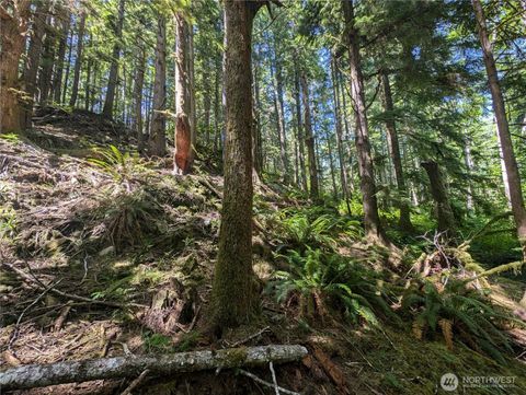 Photo of 999 Kallman Road, Forks, WA 98331 (MLS # 2413106)