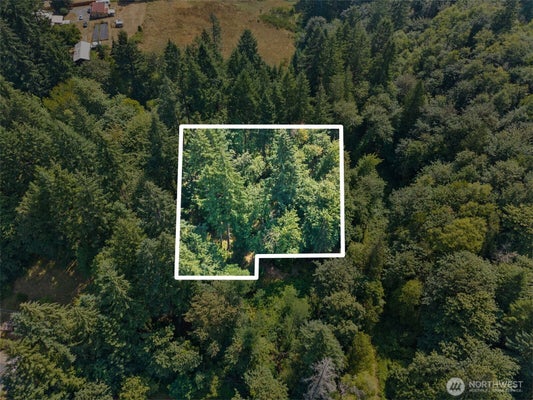 SE ASH ST, WINLOCK, WA 98596 - Image d7e90b7a698b414e780387c58c8ef98d/3377920407