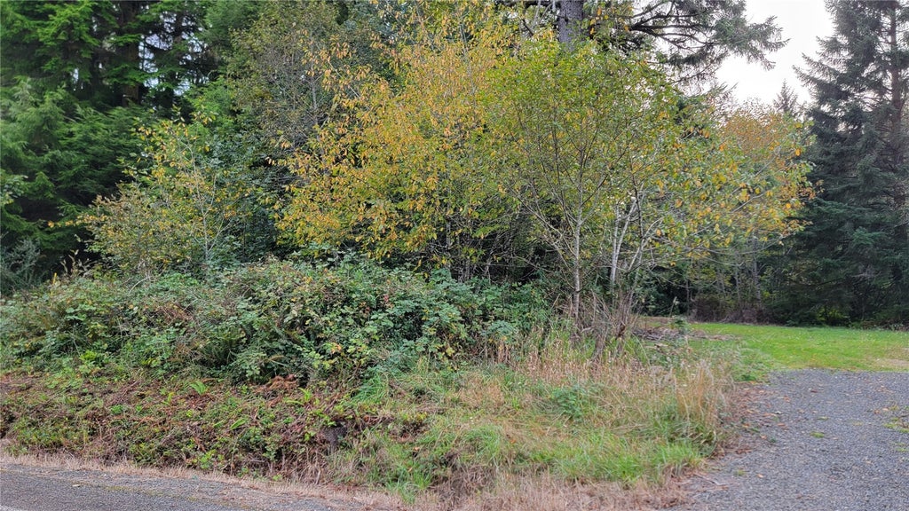 Photo of 12 South Bend Palix Road, South Bend, WA 98586 (MLS # 2596018)