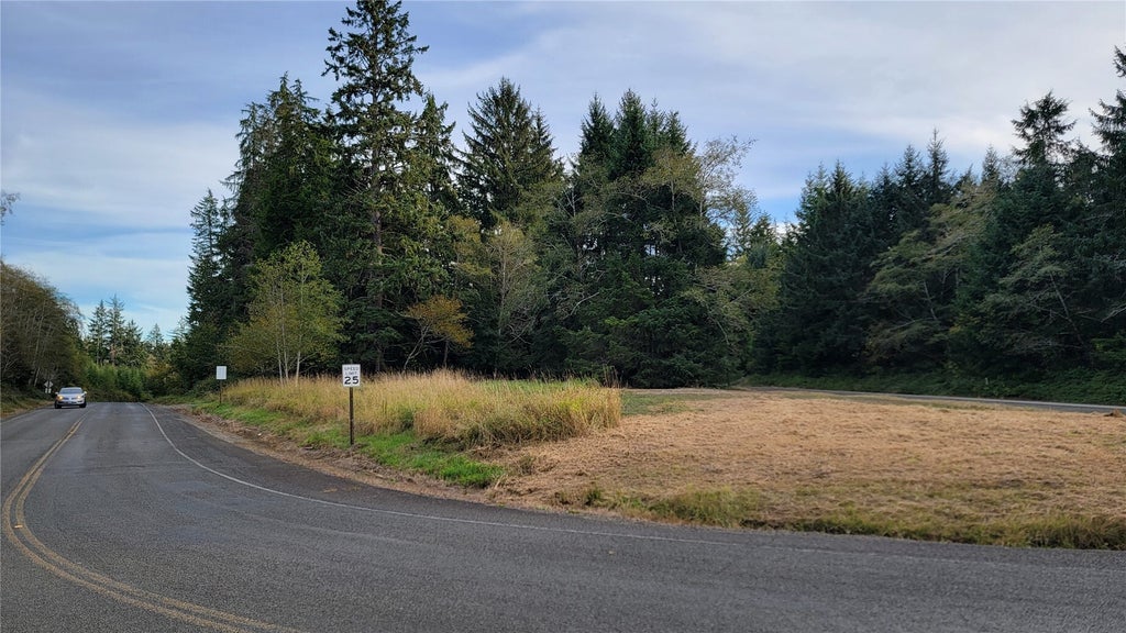 Photo of 12 South Bend Palix Road, South Bend, WA 98586 (MLS # 2596018)