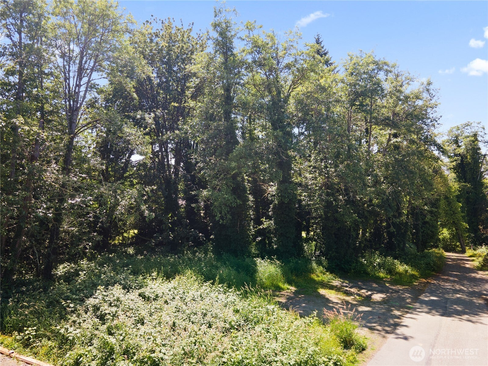 0 12th Avenue SE