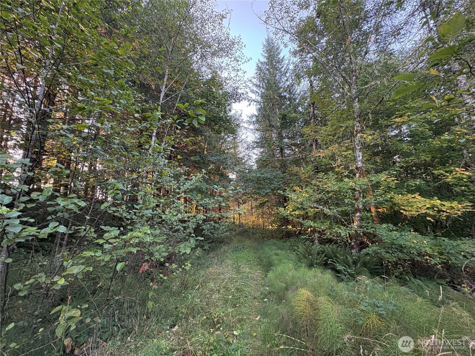 0 Frank Smith Road