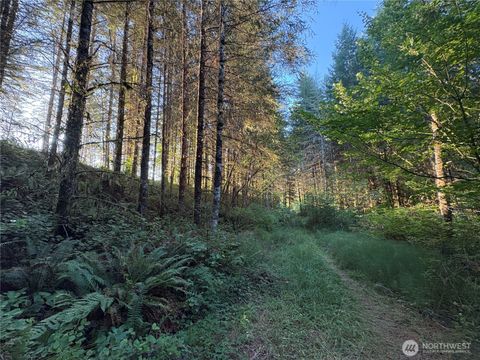 Photo of 0 NKA Frank Smith Road, Toutle, WA 98649 (MLS # 2448042) Photo of 0 NKA Frank Smith Road, Toutle, WA 98649 (MLS # 2448042)