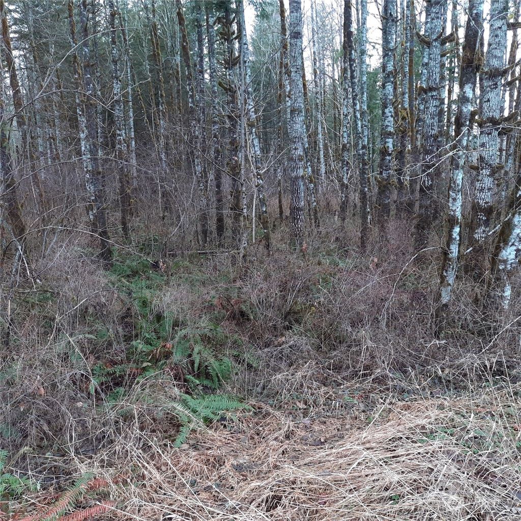 Photo of 0 Mel Garton Place, Darrington, WA 98241 (MLS # 2028808)
