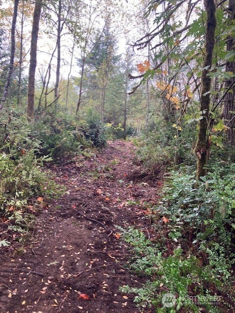 Photo of 16822 74th Street NW, Vaughn, WA 98394 (MLS # 2588723)