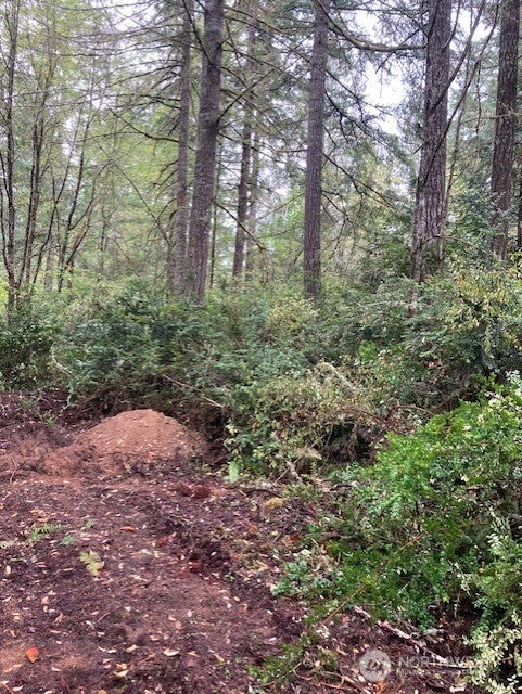 Photo of 16822 74th Street NW, Vaughn, WA 98394 (MLS # 2588723)