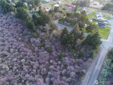 0 148th Way Long Beach WA 98641