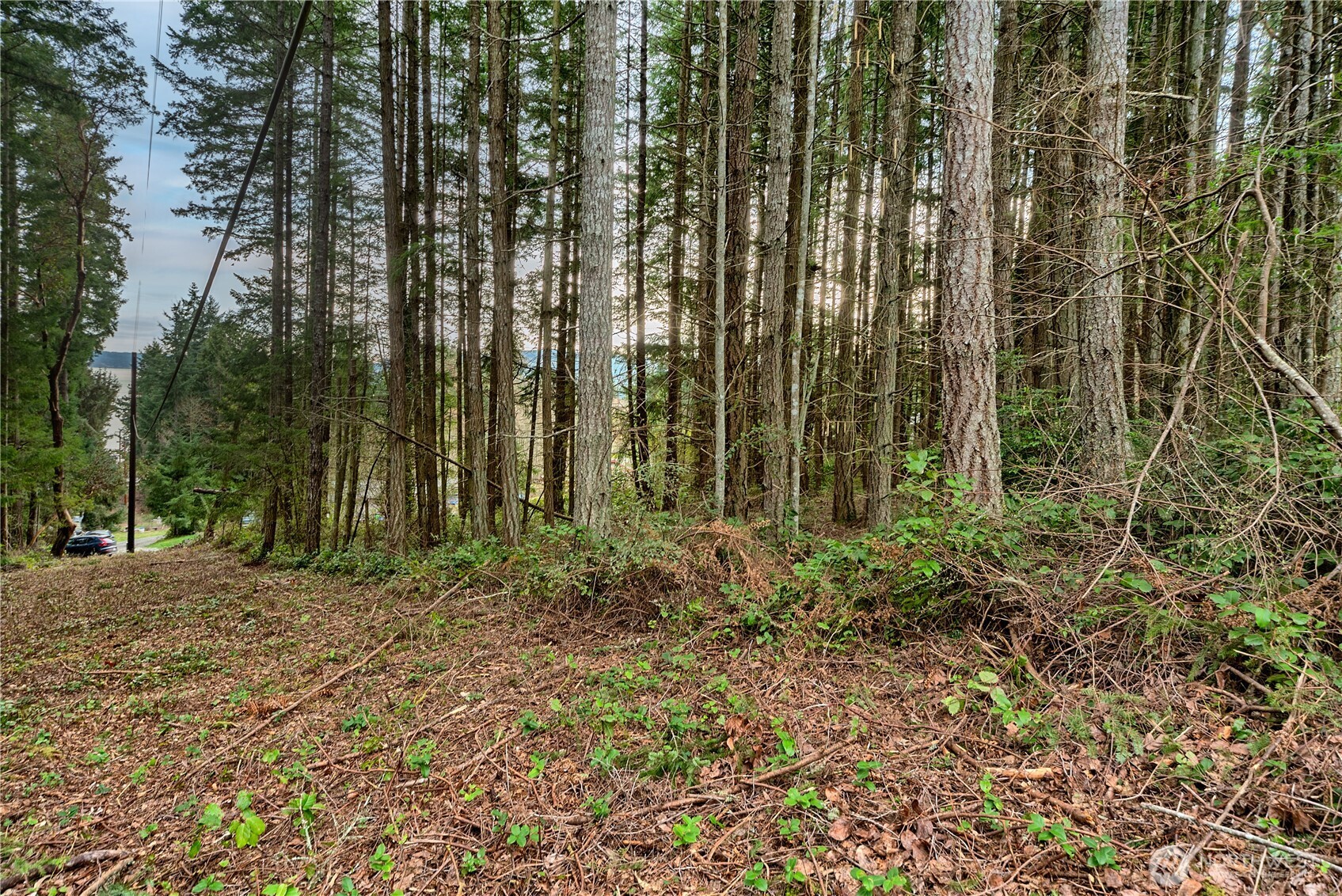 3 Huckleberry Lane