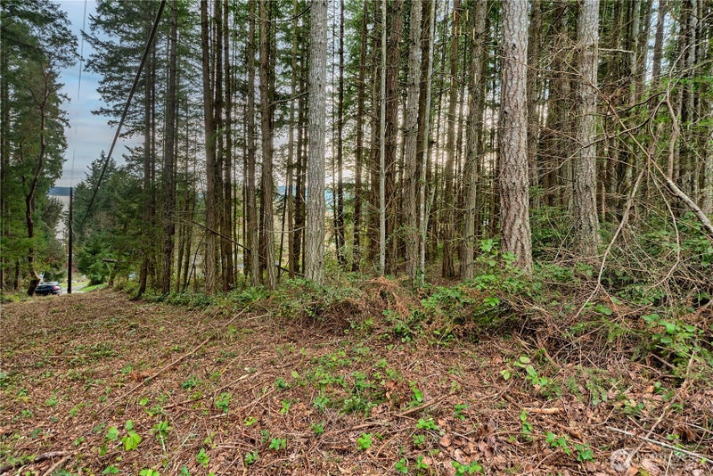 3 Huckleberry Lane