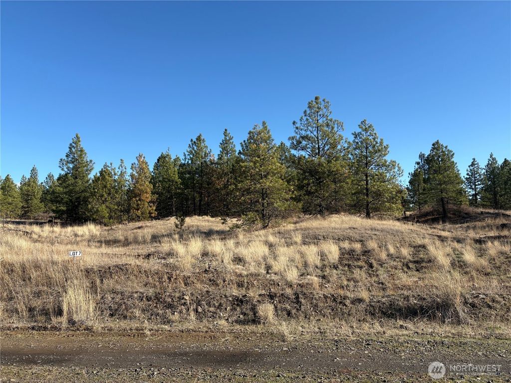 Photo of 35350 Prairie Lane N #Lot 7, Creston, WA 99112 (MLS # 2458219)