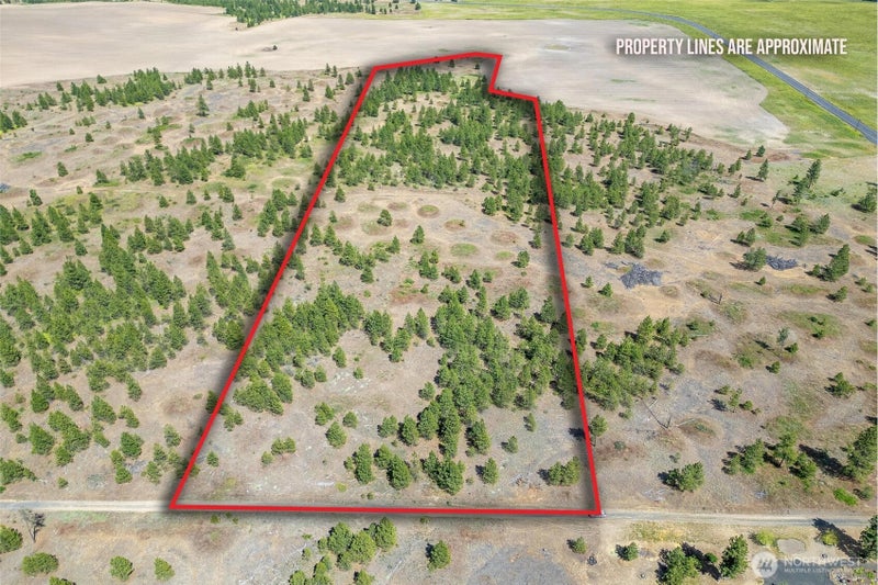 35350 Prairie Lane N Lot 7